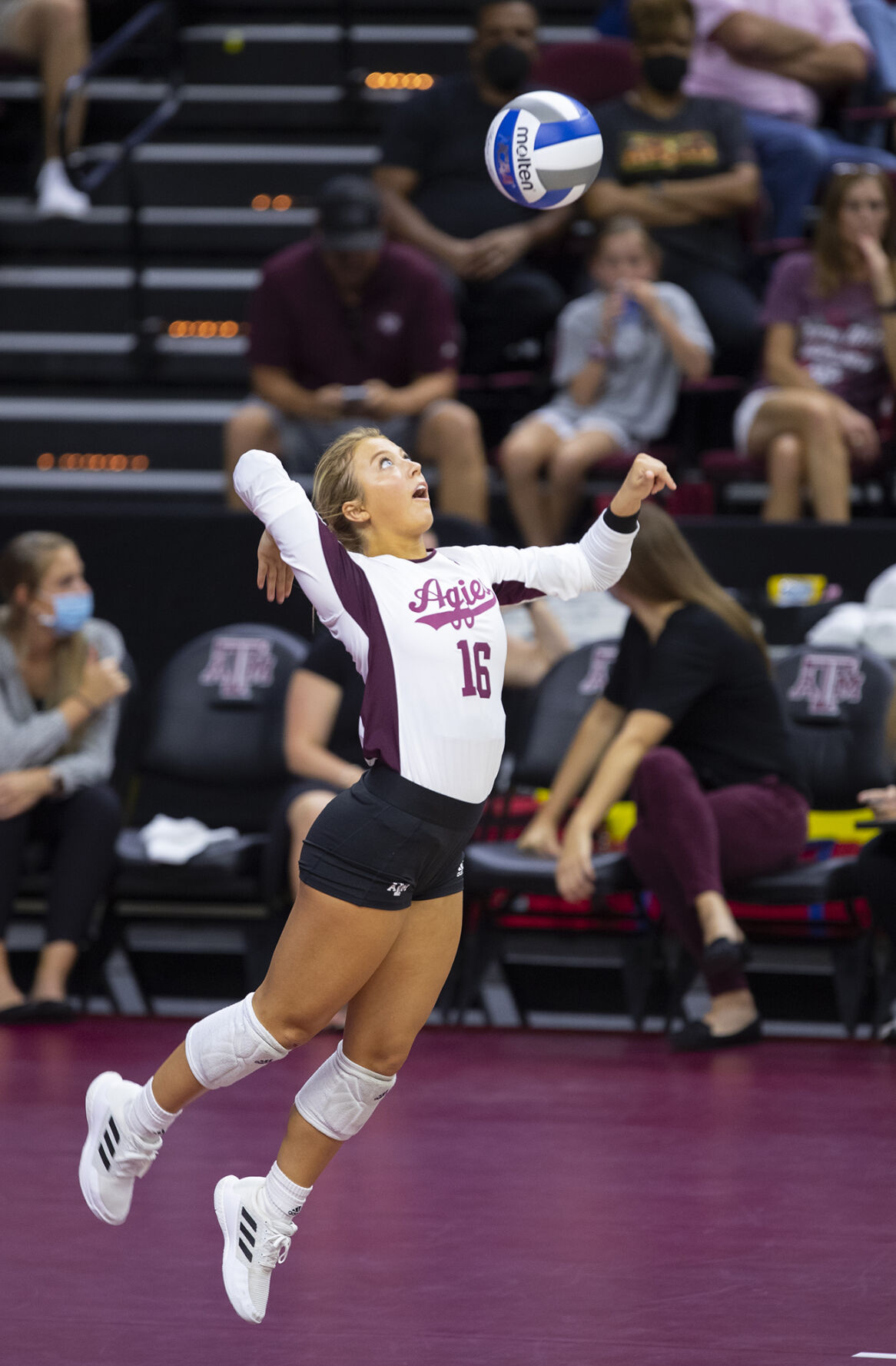 Texas A&M vs. A&M-Corpus Christi